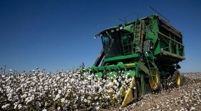 Better Cotton Initiative: потенциальный рост инвестиций в текстиль Узбекистана